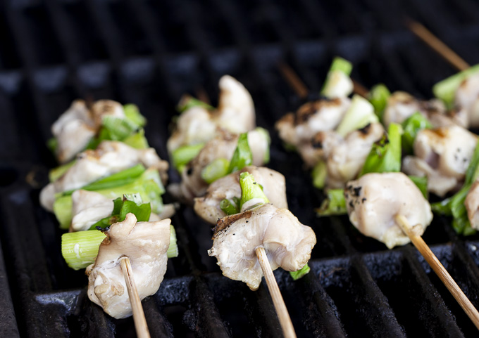 Negima (Grilled Chicken Skewers With Green Onion) Recipe
