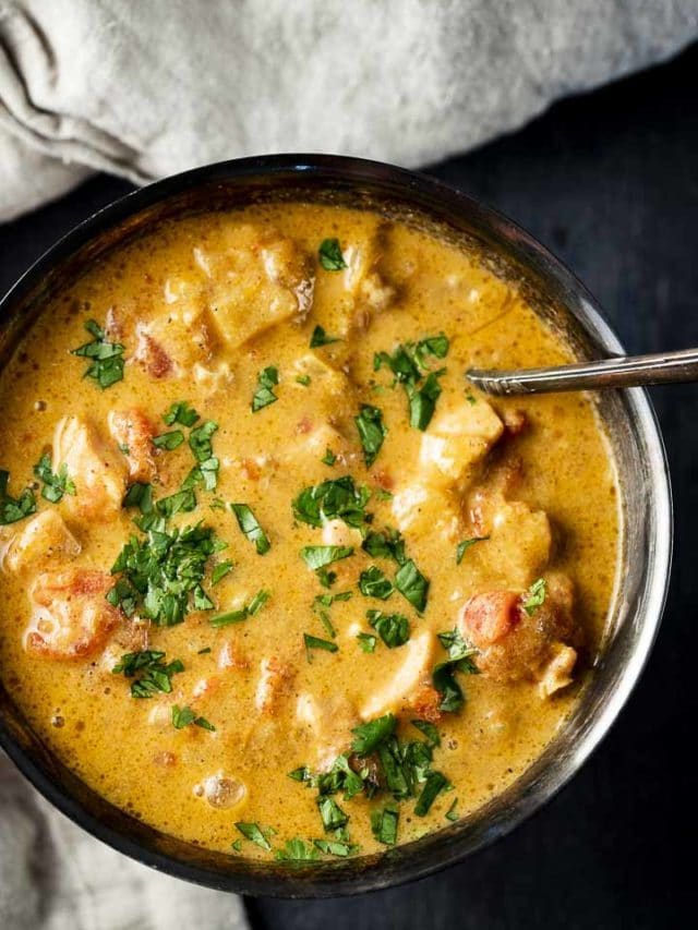 INSTANT POT CHICKEN CURRY STORY