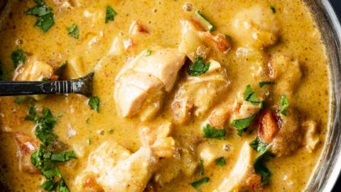 Whole chicken discount curry instant pot