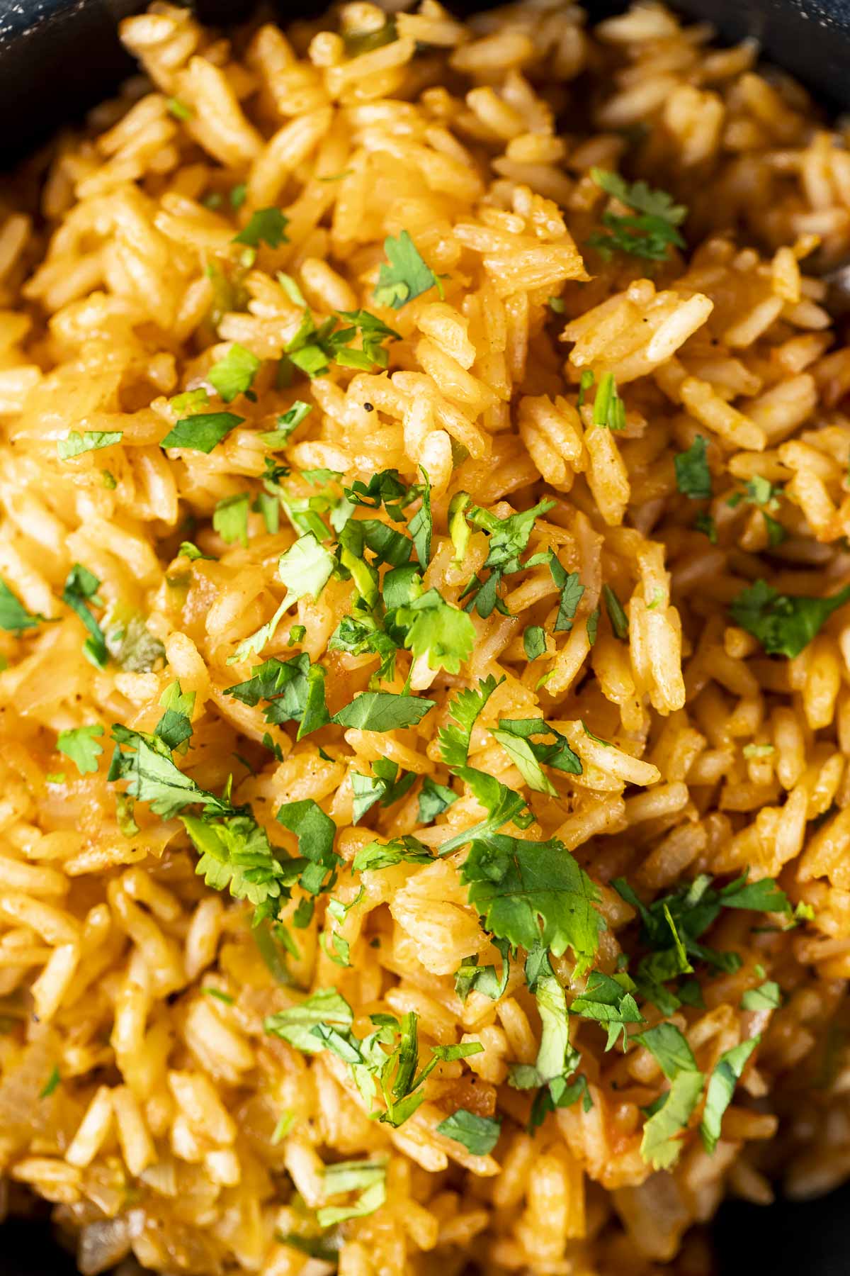 Easy Instant Pot Spanish Rice – Midwexican
