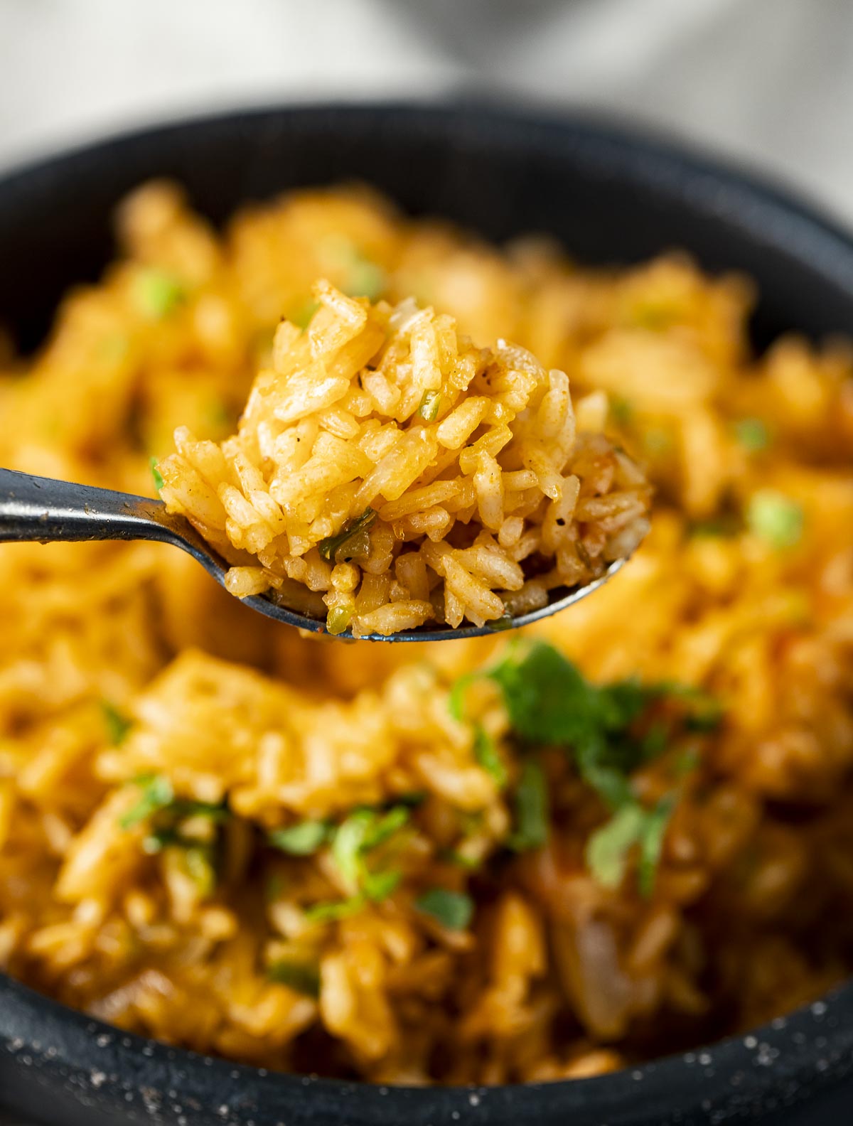 Easy Instant Pot Spanish Rice - Savor the Best
