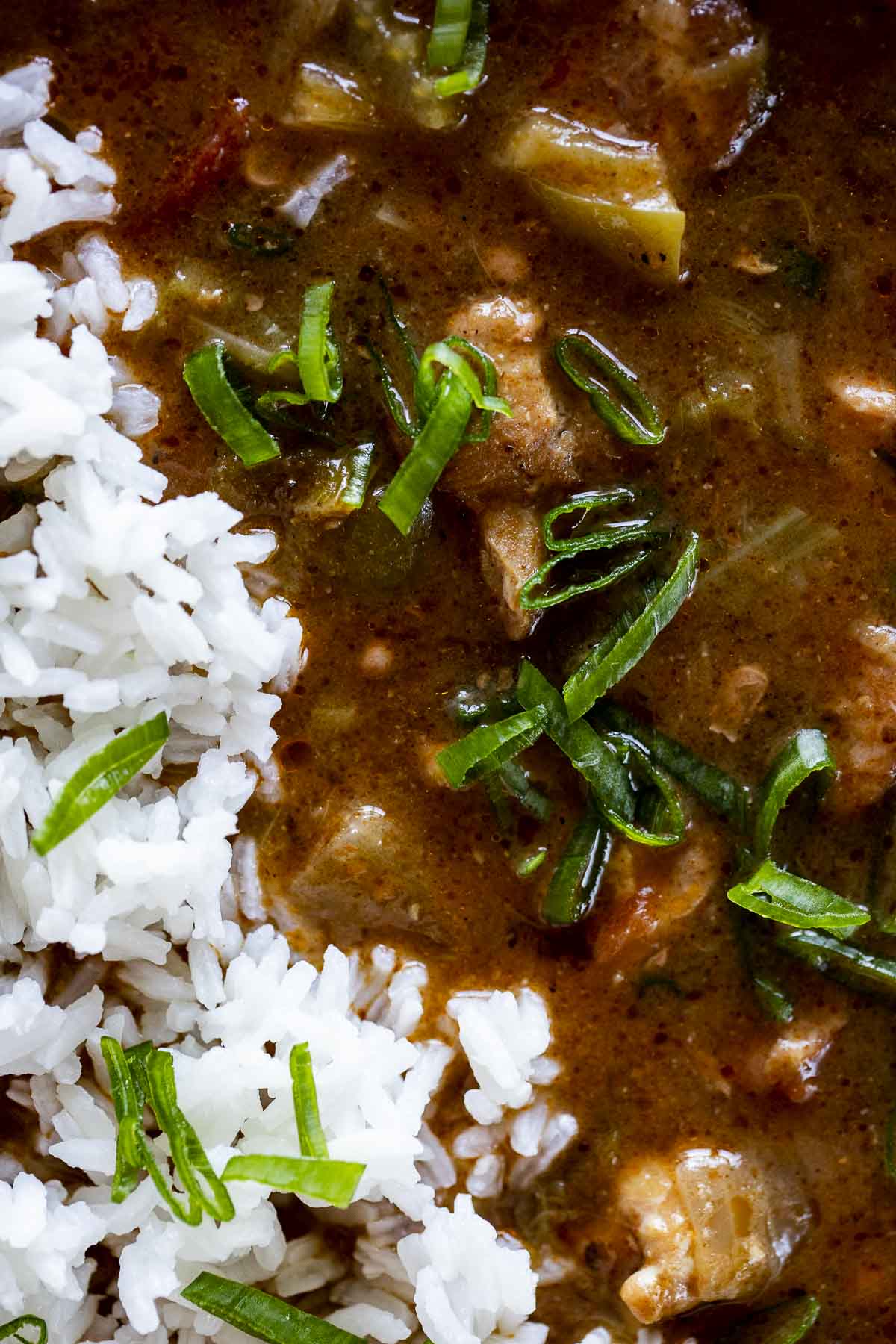 Up close of gumbo topped with rice and garnished with green onion.
