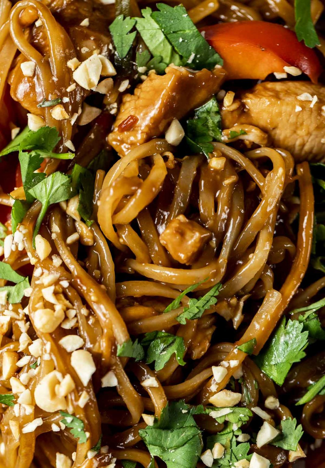 Instant Pot Pad Thai - Went Here 8 This