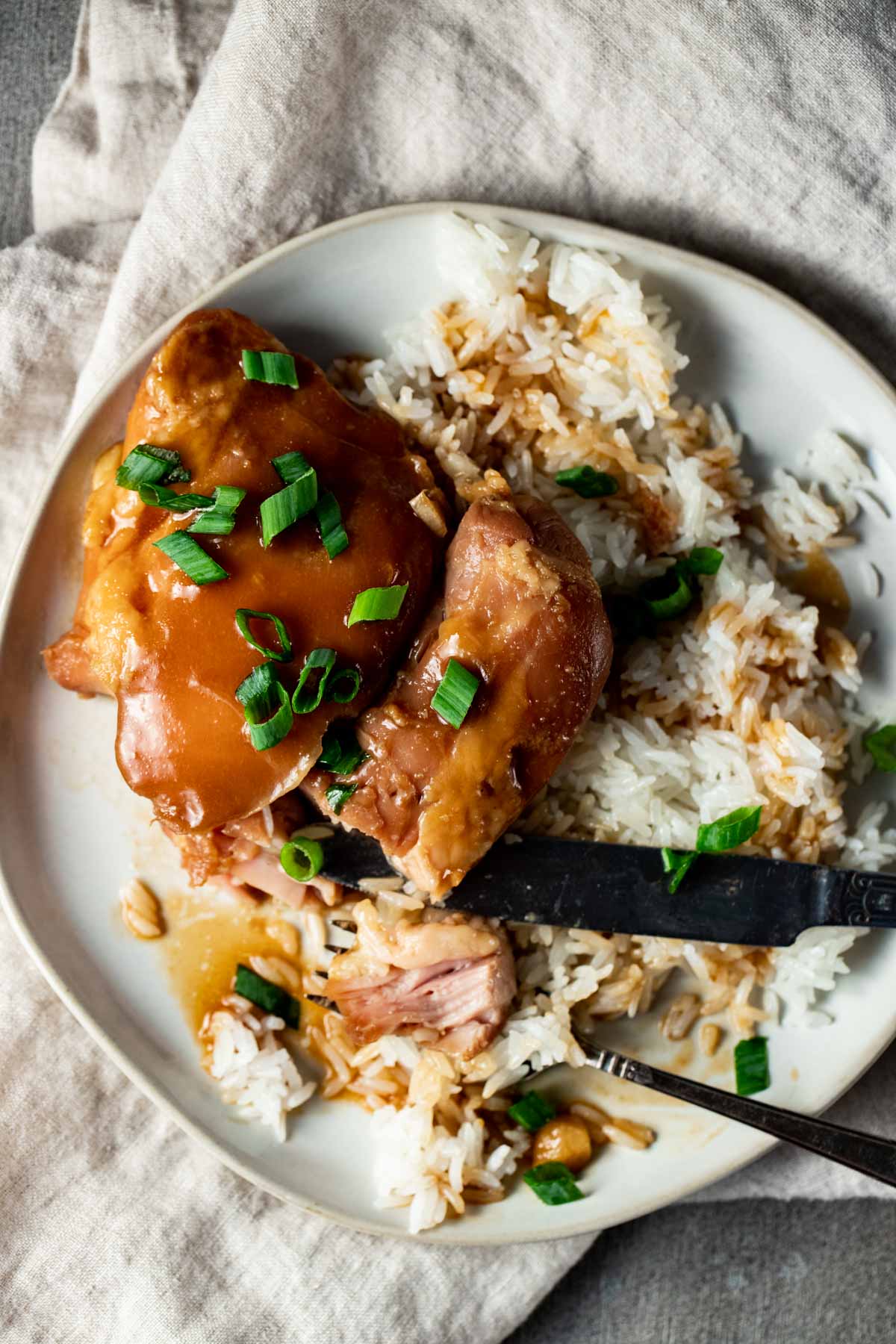 https://www.wenthere8this.com/wp-content/uploads/2022/07/sous-vide-teriyaki-chicken-5.jpg