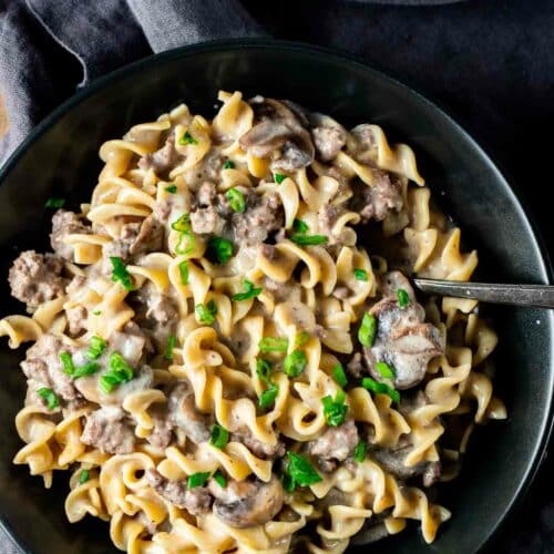 Ground beef stroganoff recipe best sale instant pot