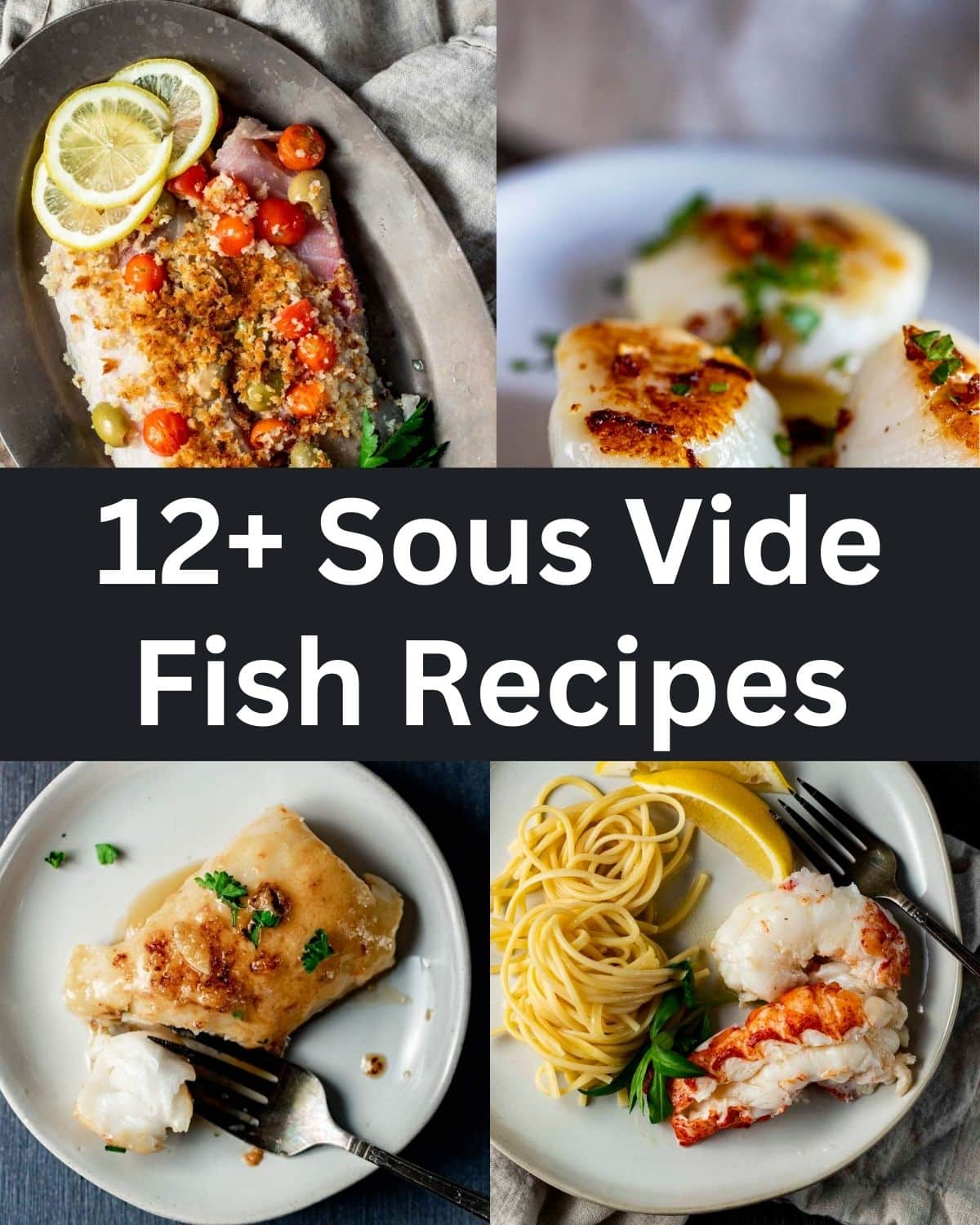 https://www.wenthere8this.com/wp-content/uploads/2023/09/12-Sous-Vide-Fish-Recipes.jpg