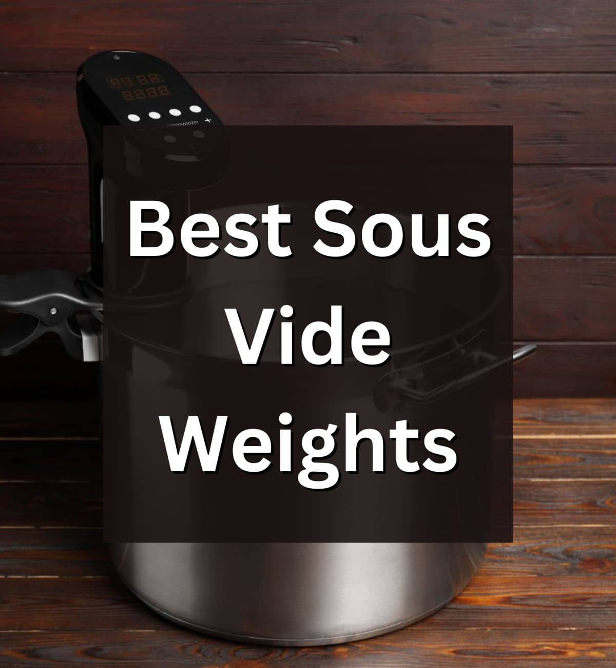 Best Sous Vide Weights - Went Here 8 This