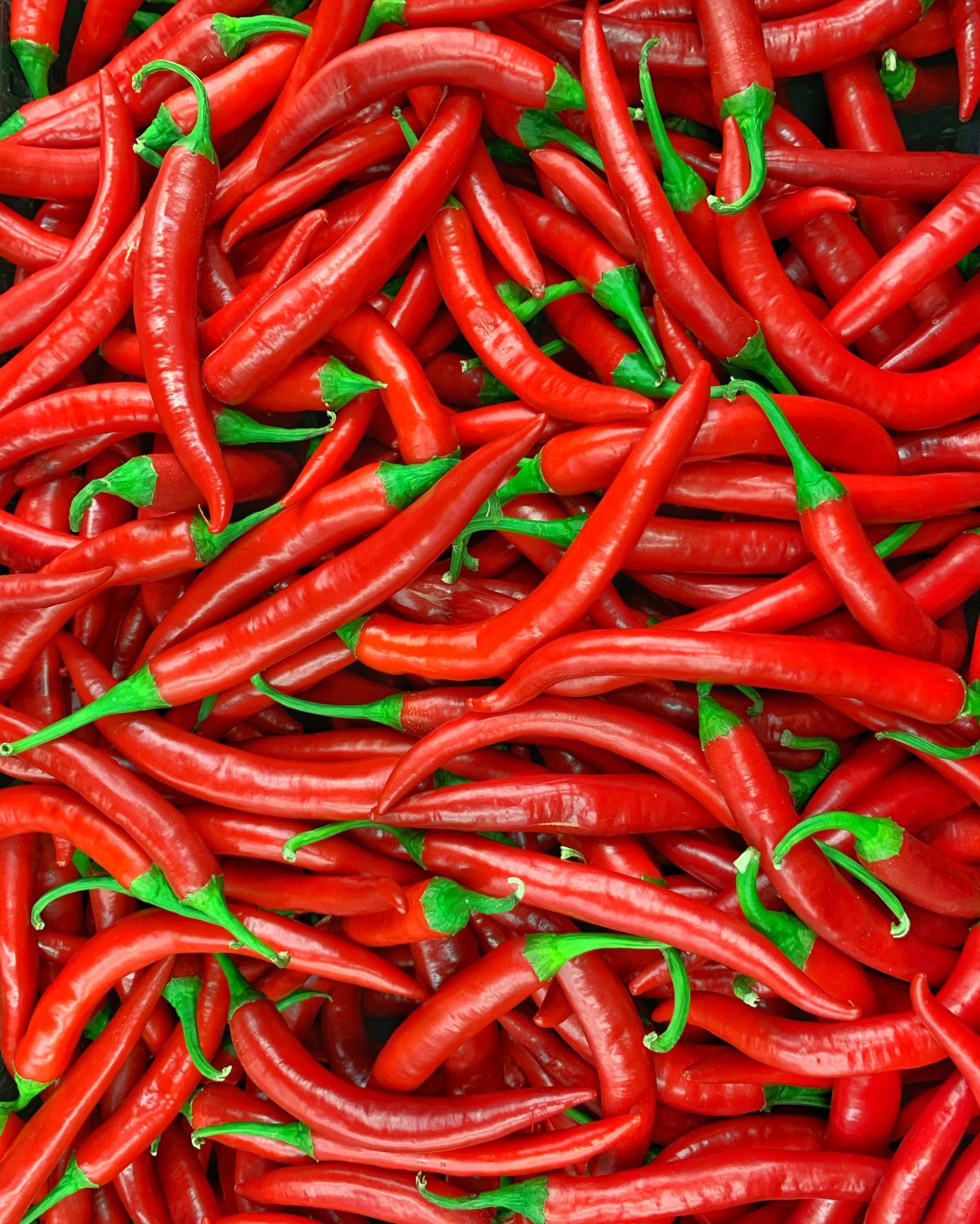 red chili peppers in a pile