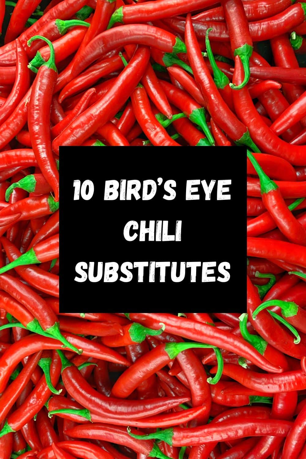 Top 10 Best Thai Bird\'s Eye Chili Substitutes and How to Use Them