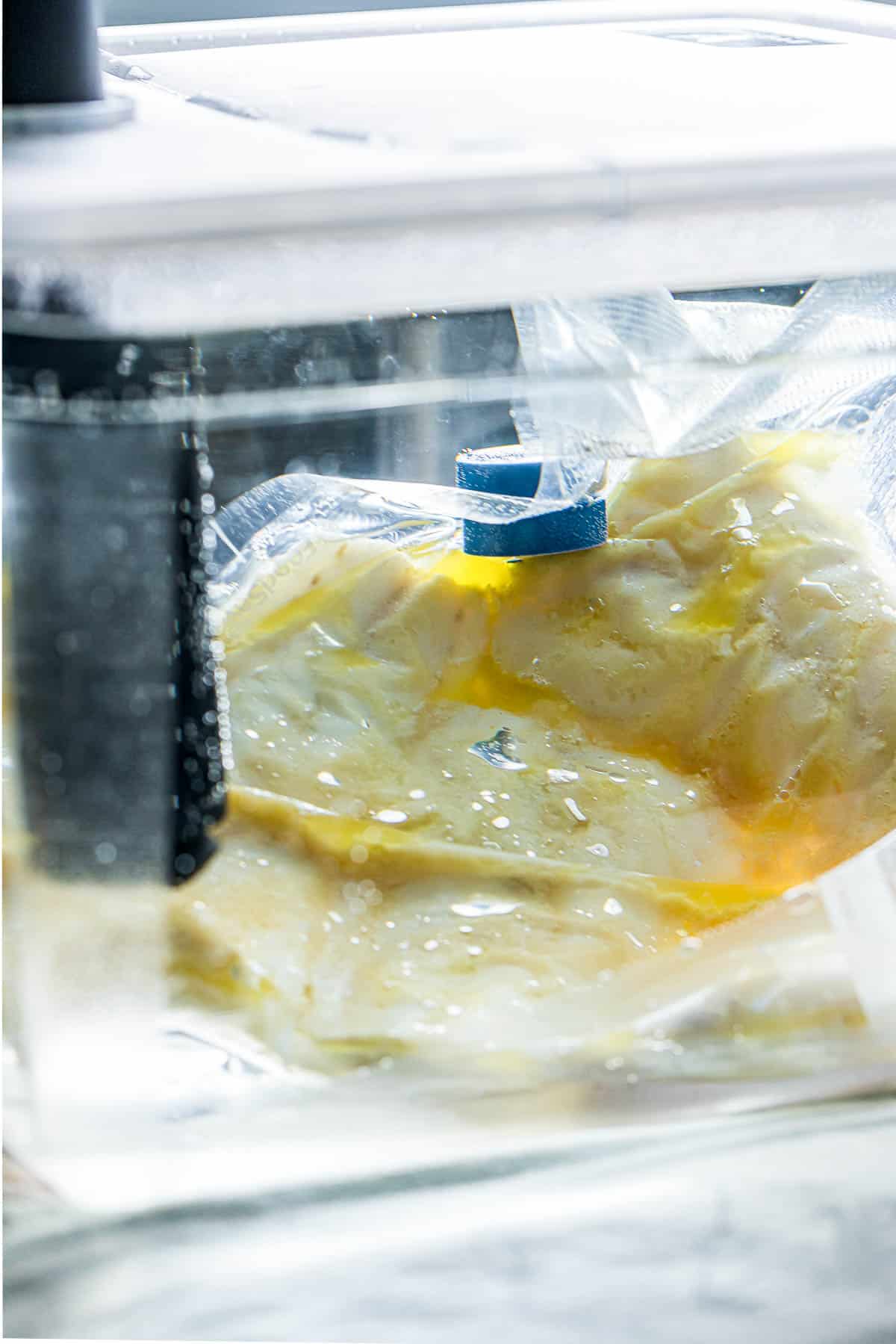 fish filets cooking in a sous vide water bath.