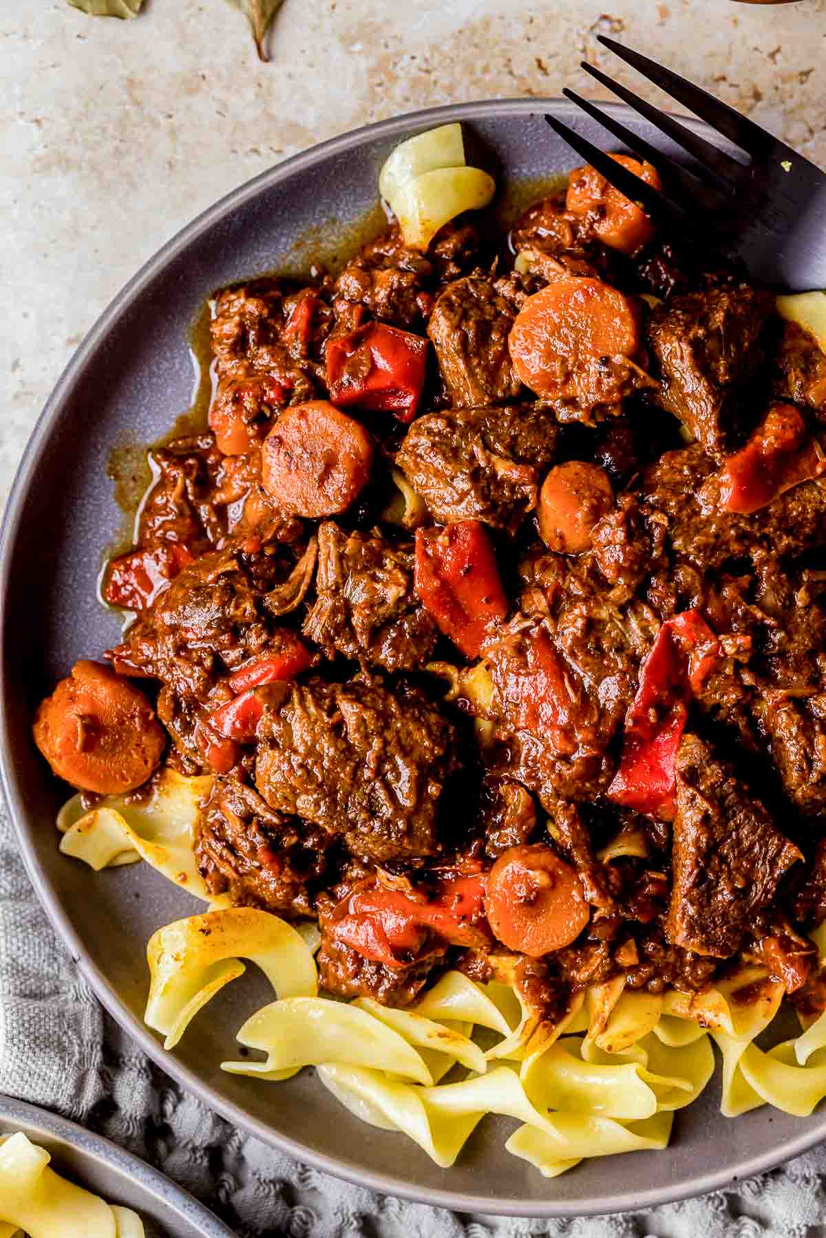 a plate of beef stew over egg noodles. 